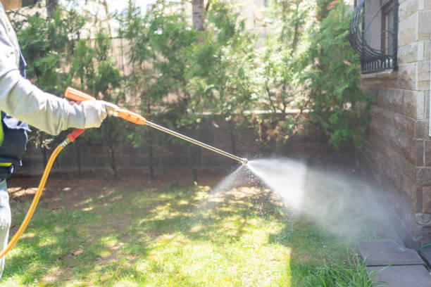 Emergency Pest Control Services in Brooklyn, OH